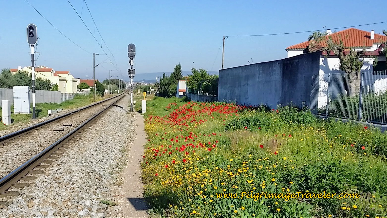 Looking Westward Down the Tracks on Day Five, Camino Portugués