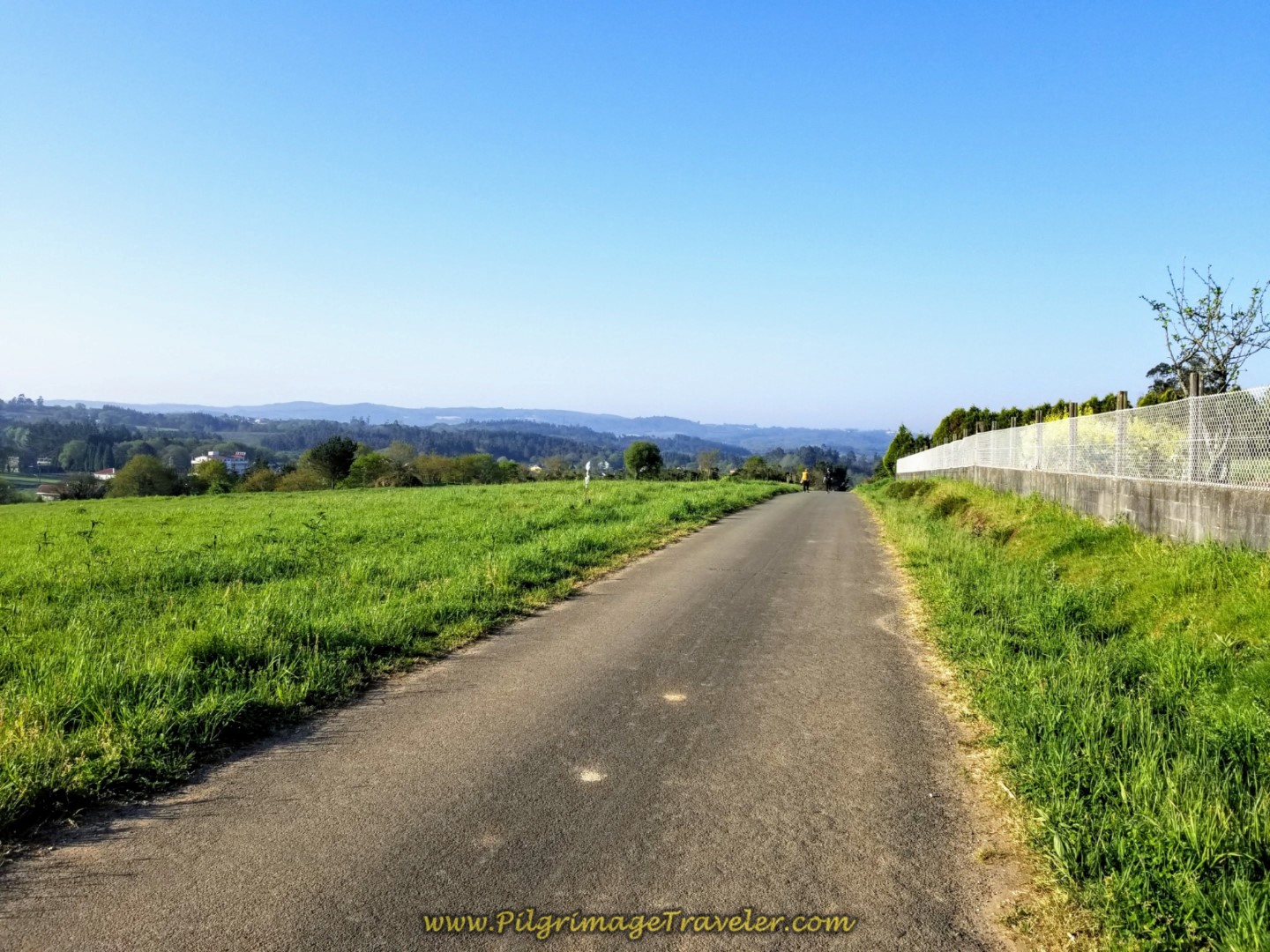 Open Road Towards Lameira on day eight of the Camino Inglés Open Road Towards Lameira on day eight of the Camino Inglés