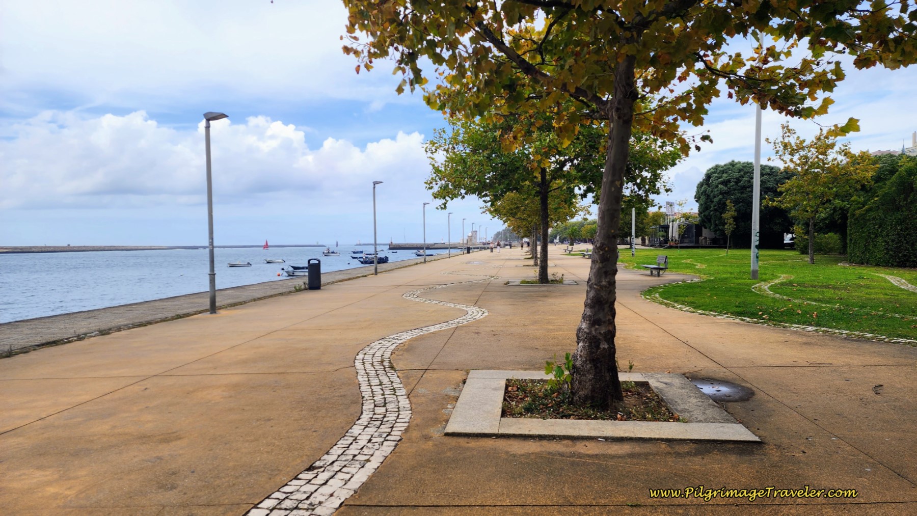 Rua do Passeio Alegre - The Joyful Passageway 