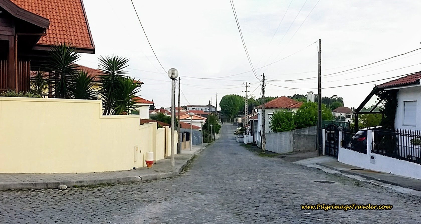 Quiet Rua Estrada Romana on Day Fourteen of the Camino Portugués