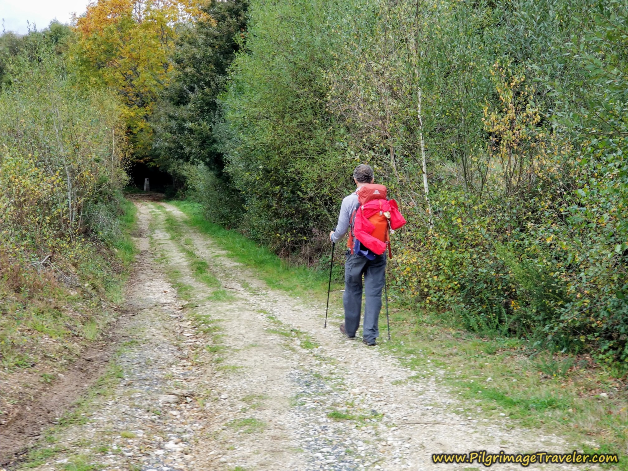Side Road Becomes a Lane