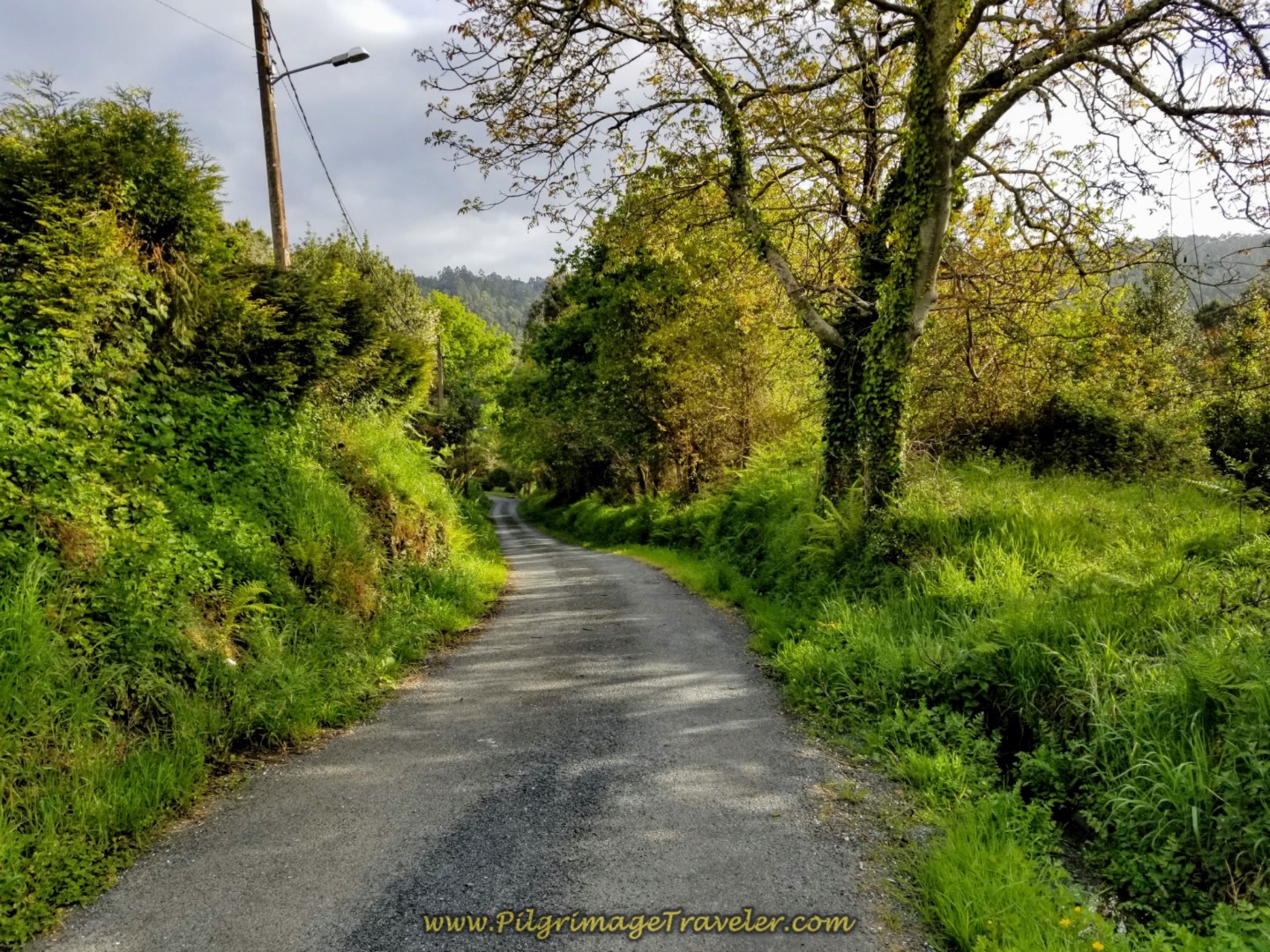 On the Road to Lambre on Day Four of the Camino Inglés