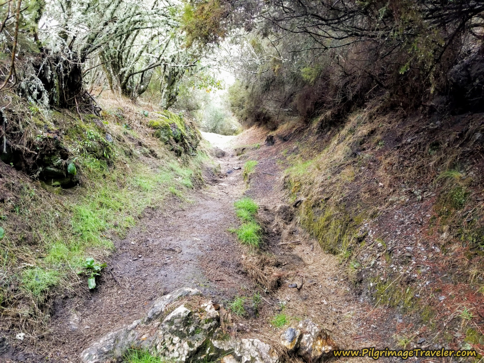 Path Rocky at Times on the Camino Sanabrés from Lubián to A Gudiña