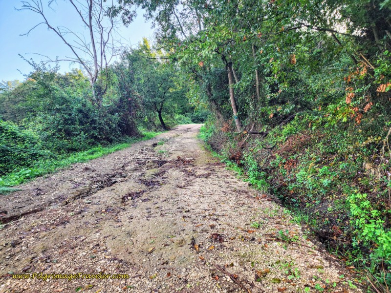 Way of St. Francis: Day Twenty-Two, Monterotondo to Monte Sacro - Rough Road Climbing Out of the Drainage