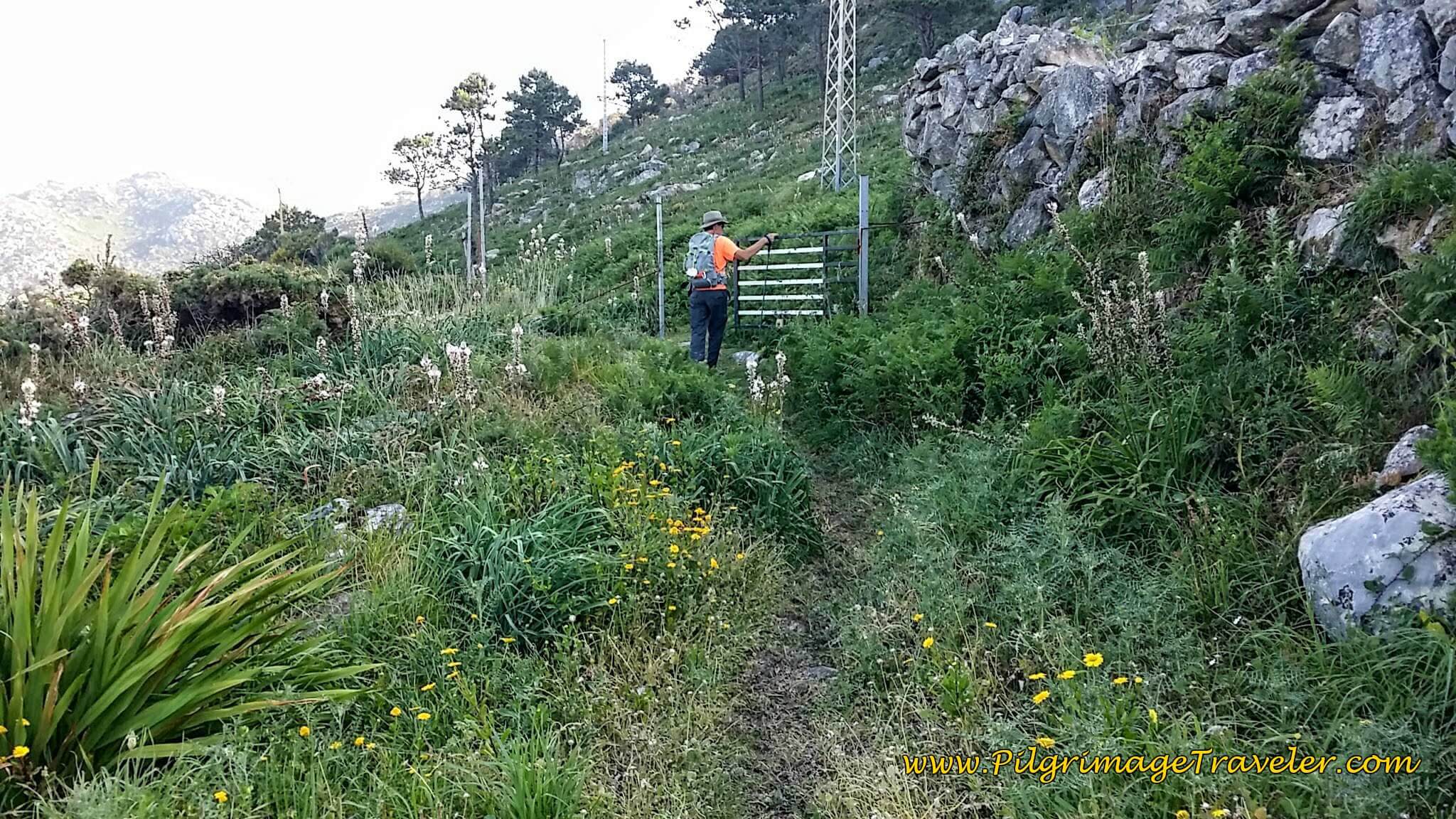 Walking Through the Gate on the Camiño da Portela on day twenty of the Portuguese Way, Coastal Route