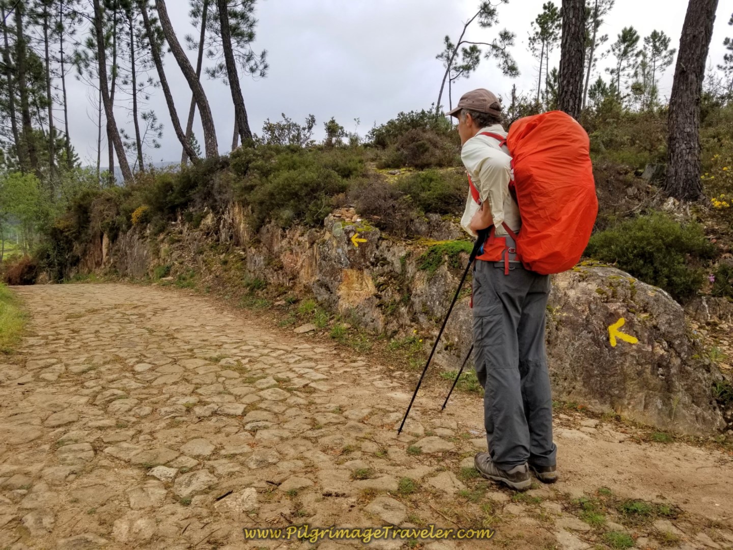 Rich with Yellow Arrows on Cobblestone Road on day eighteen on the Central Route of the Portuguese Camino