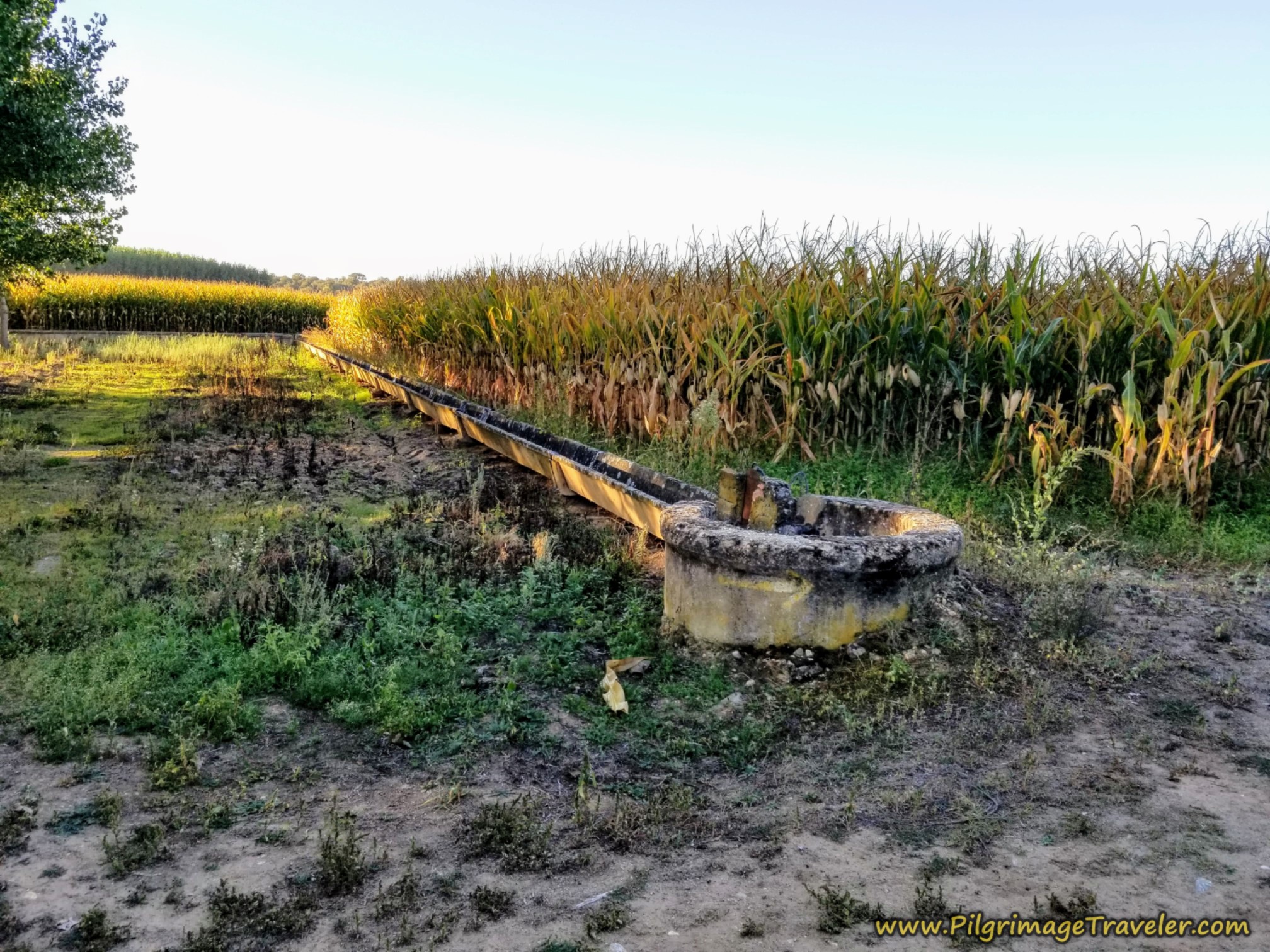 Unique Irrigation System