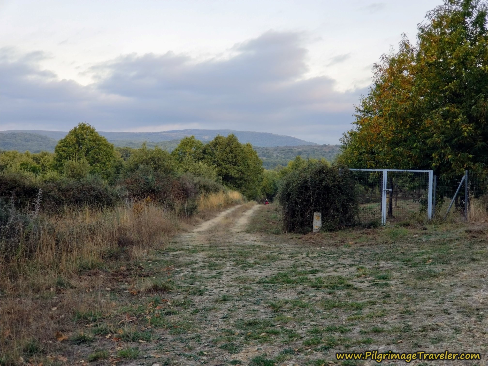 Veer Left Off Highway Onto Lane