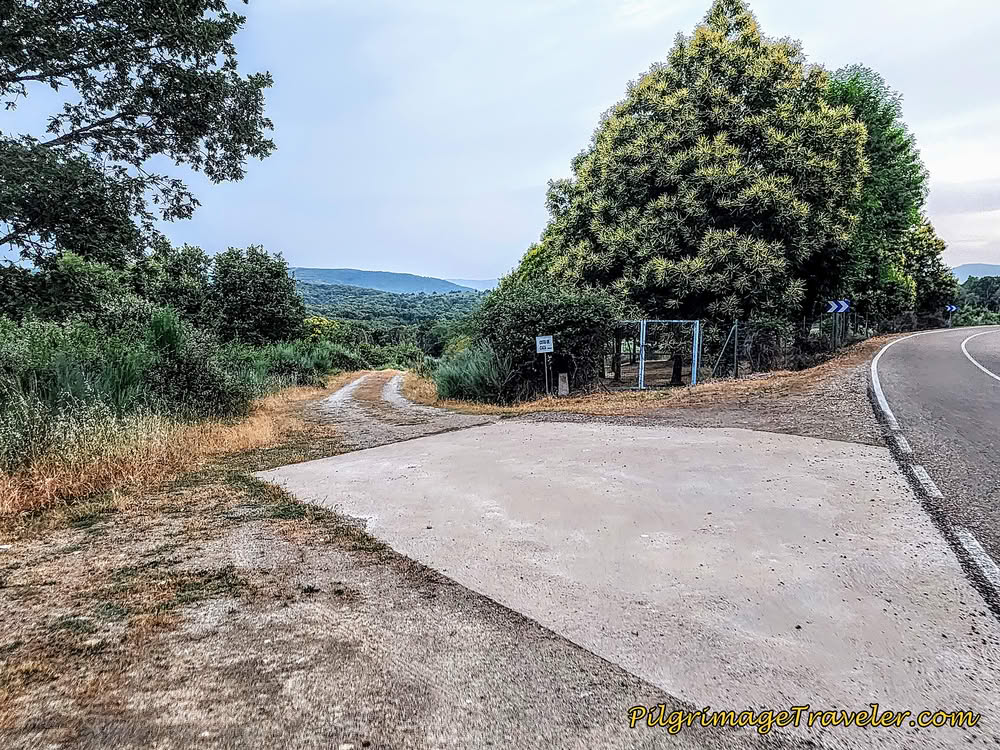 Veer Left Off Pavement Onto Lane