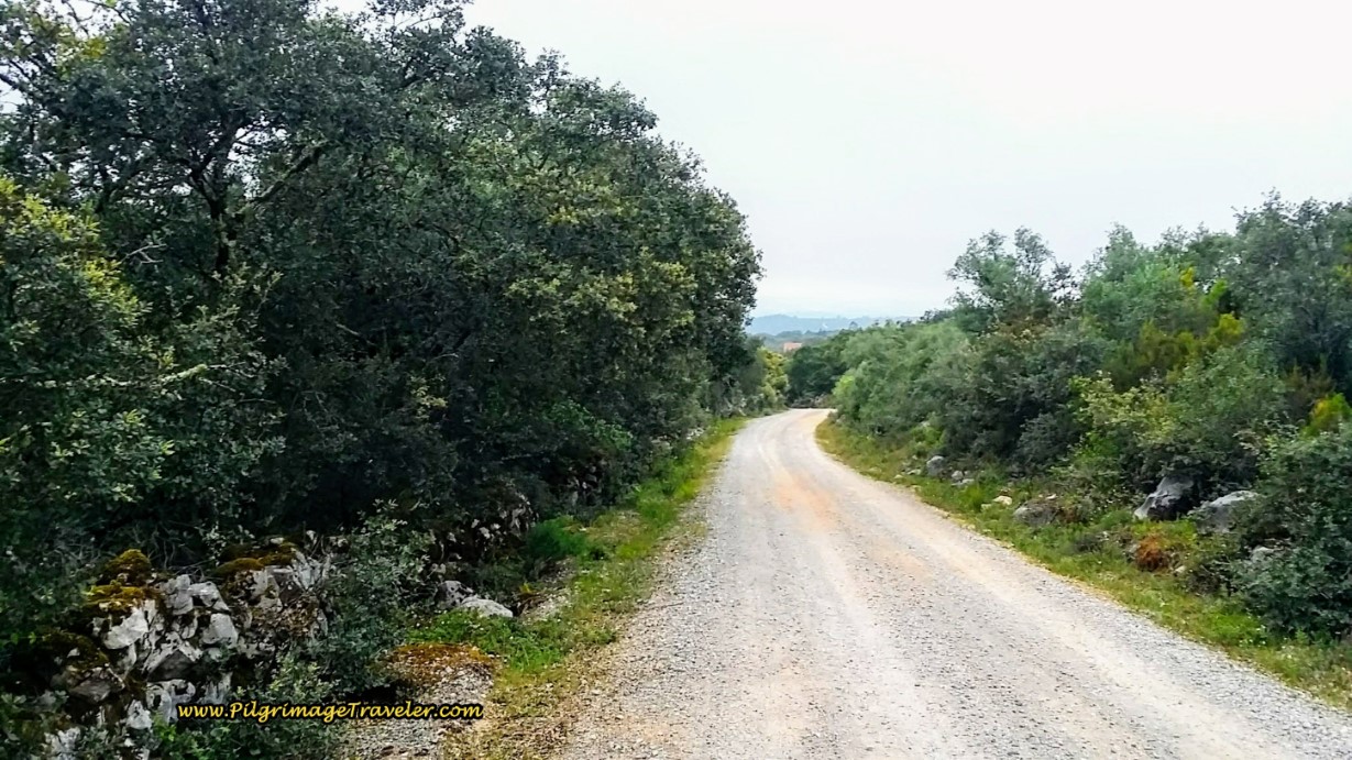 Walking Toward Venda do Negro