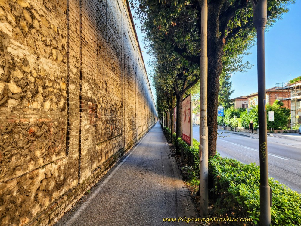 Way of St. Francis: Day Twelve, Spello to Trevi - Along the Viale Roma, Foligno