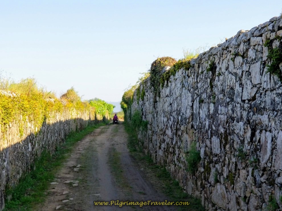 Magdalena Wheels Herself on Farmer's Lane on day sixteen on the Central Route of the Camino Portugués