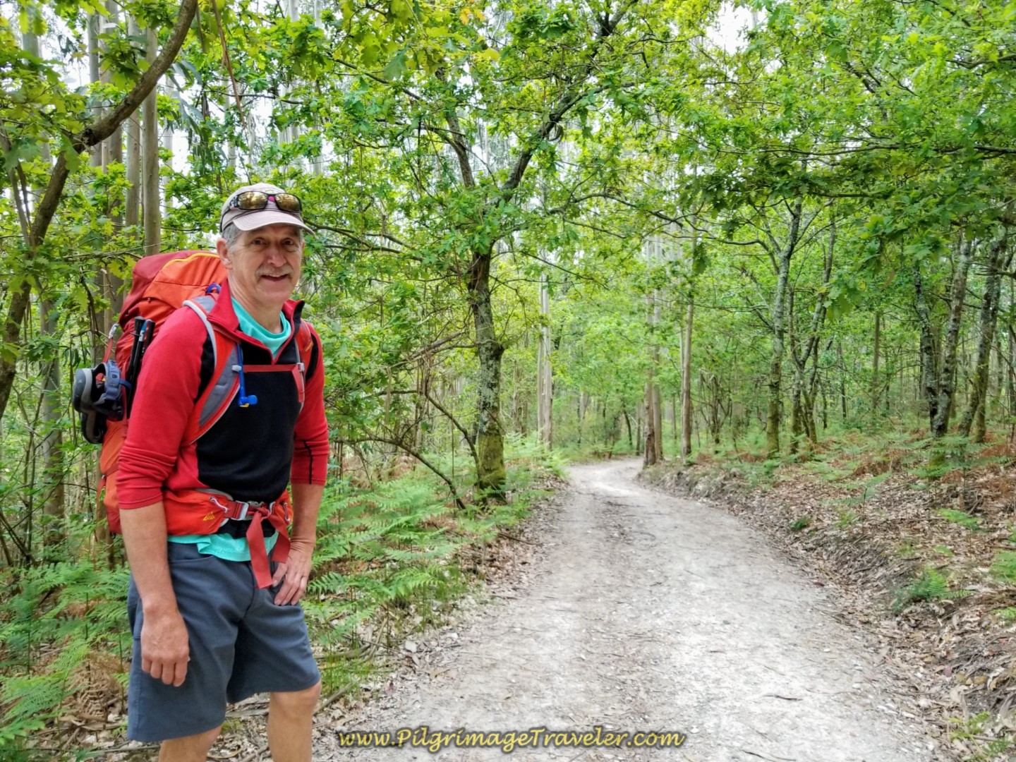 Rich on Forest Path on day one on the Camino Finisterre