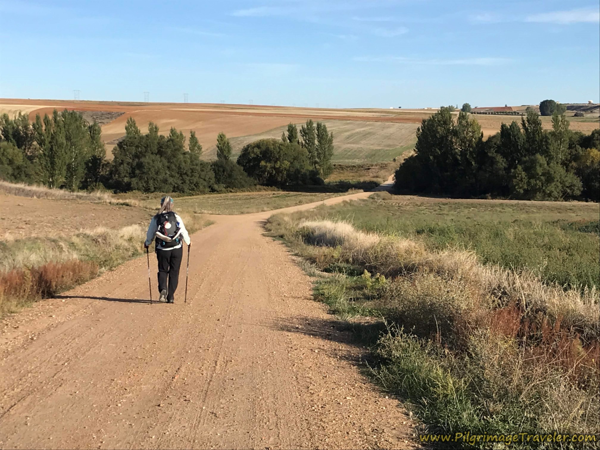Camino Fonseca, along the Via de la Plata - Day One: Salamanca to Urbanizatión El Chinarral, 22.7 Kilometers (14.11 Miles)