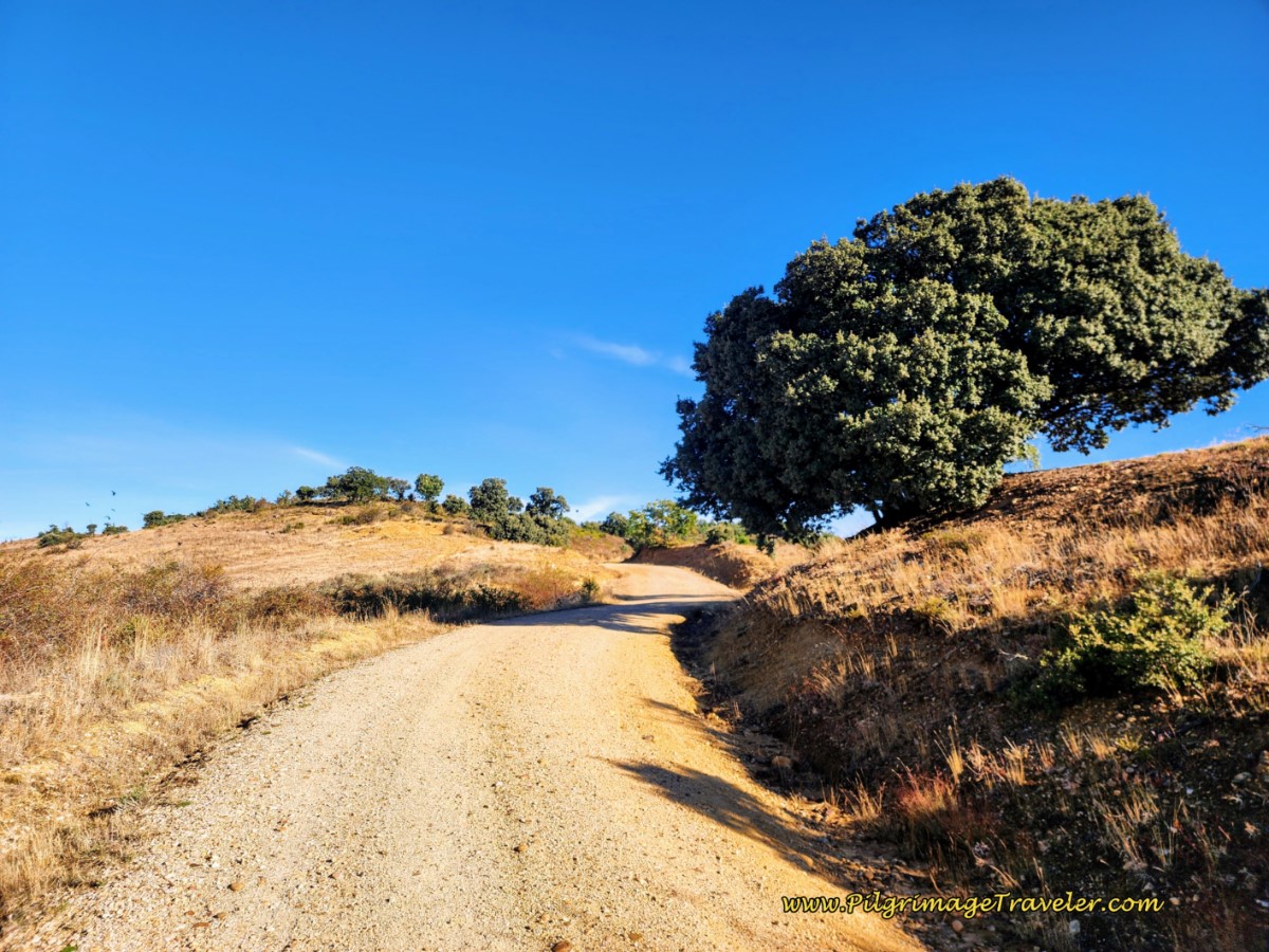 Climb Begins to Steepen