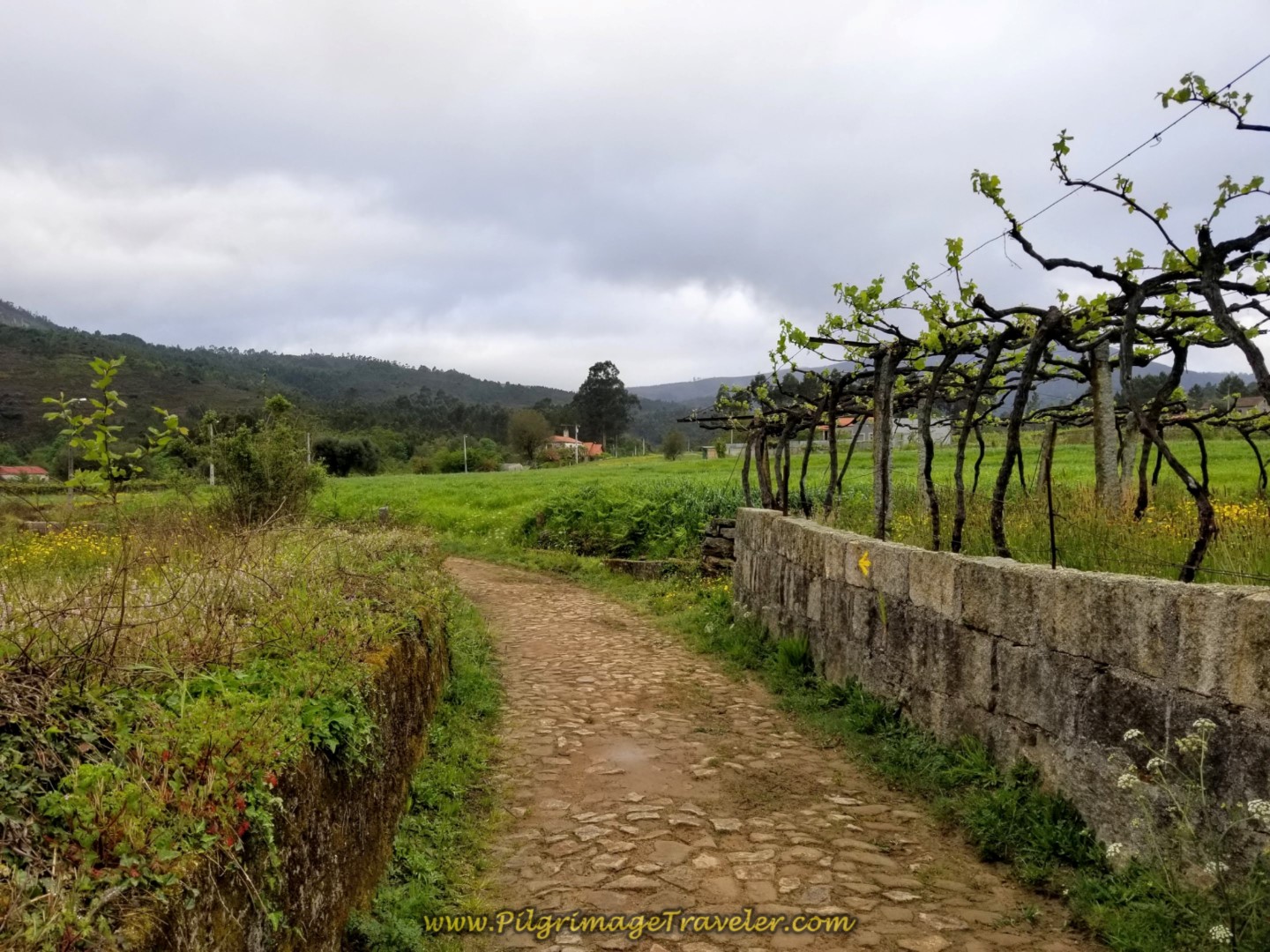 Farther North Along the Cobblestone