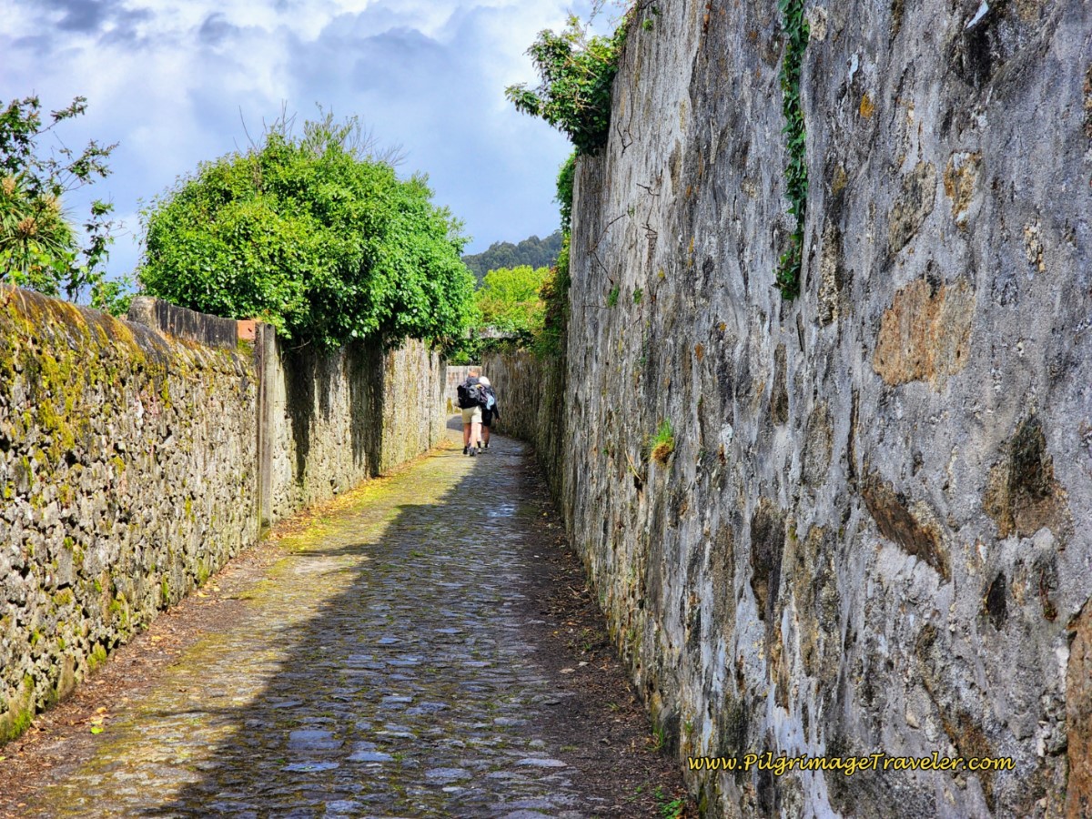 High-Walled Cobblestone Street Continues High-Walled Cobblestone Street Continues