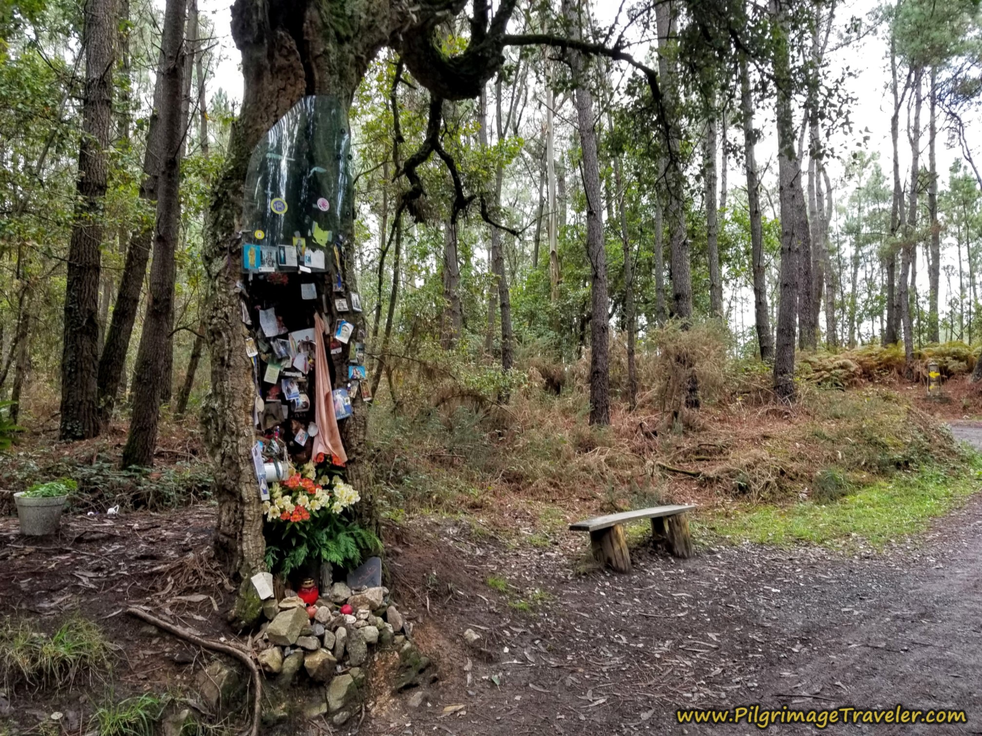 Pass by Landmark Memorial on the Camino Sanabrés from A Bandeira to A Susana