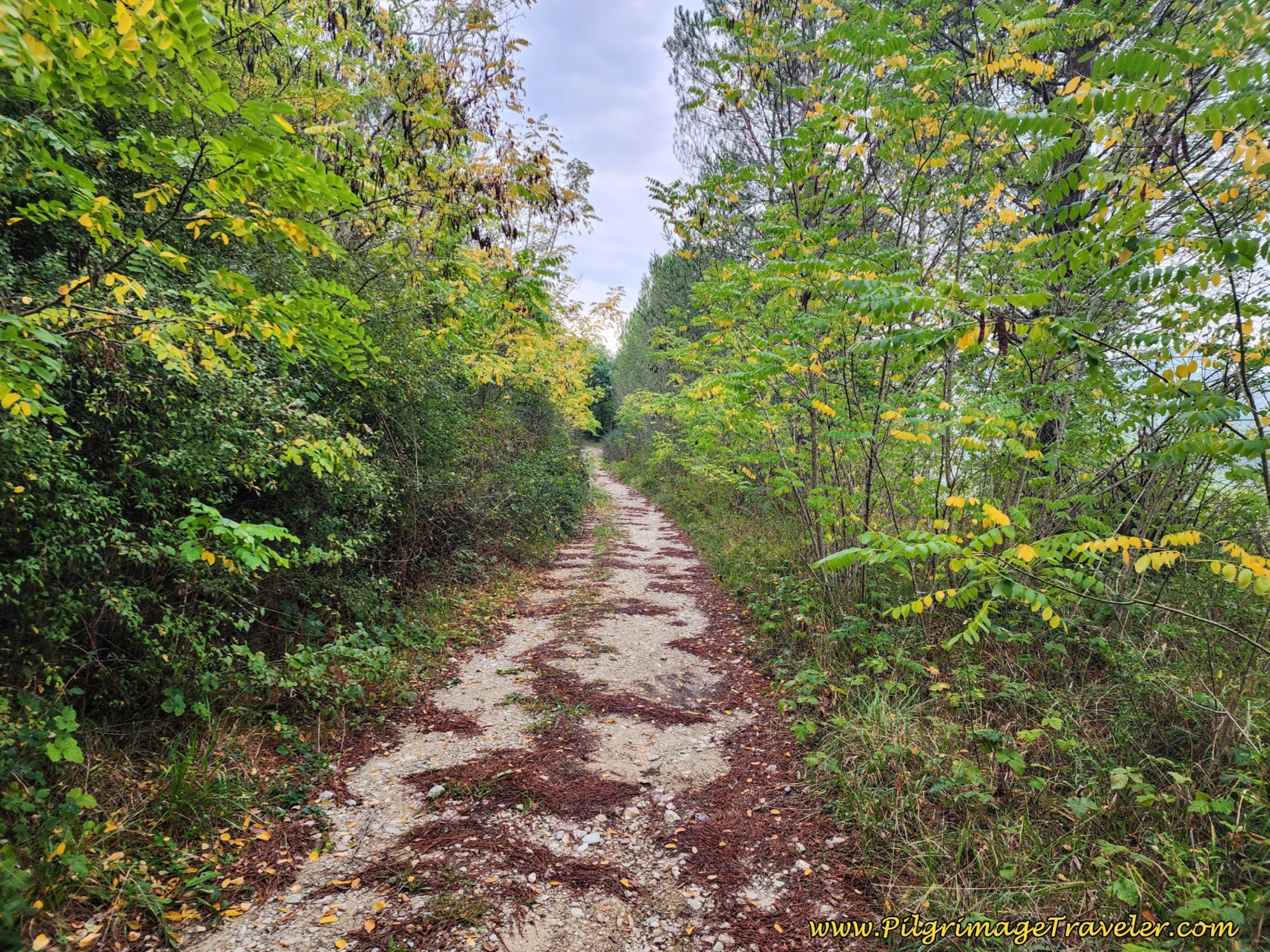 Lane Narrows and Switchbacks up the Ridge on day six on the Way of St. Francis, from Cittá di Castello to Pietralunga
