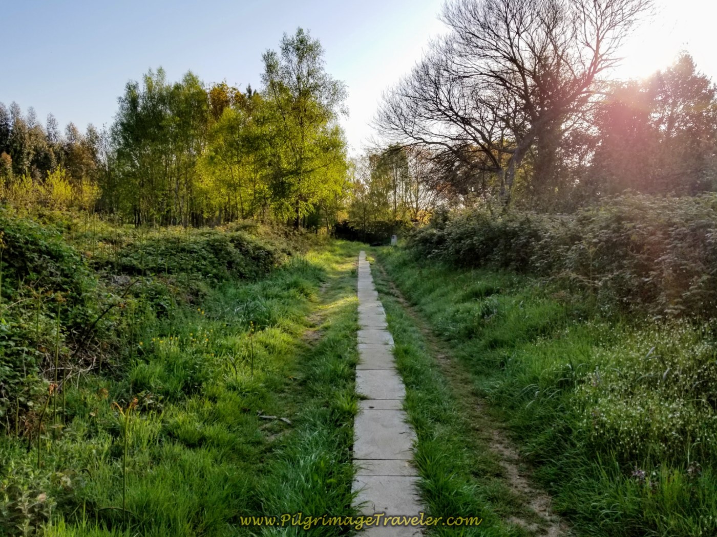Lane Turns to Concrete Path on day seven of the Camino Inglés
