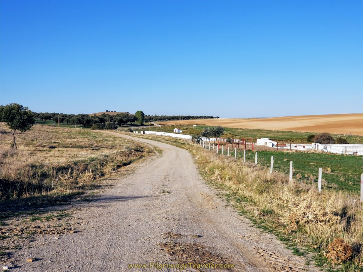 Walk Toward House of Alba Estate Farm