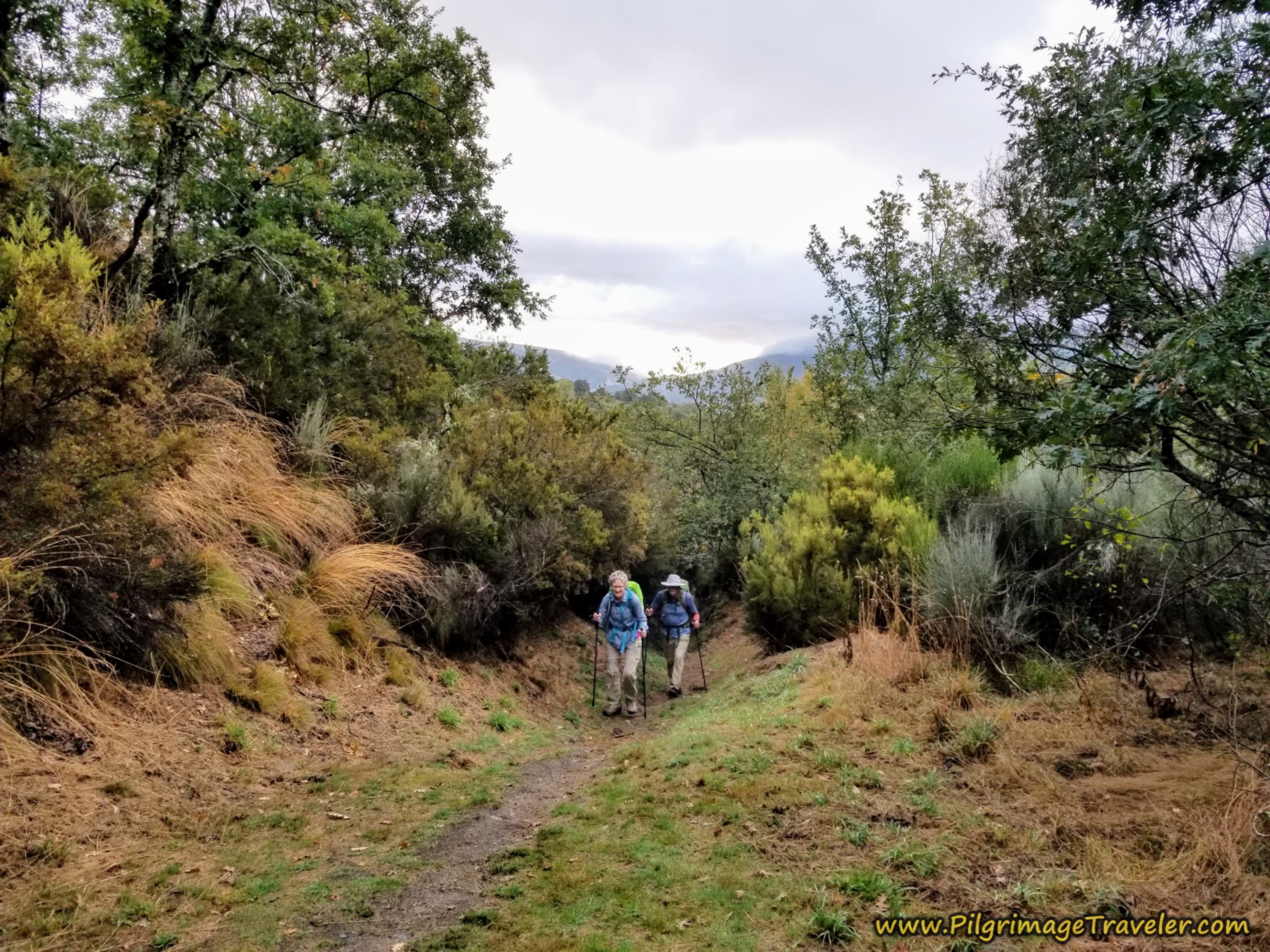 Nadine and Norm on the Steep Climb