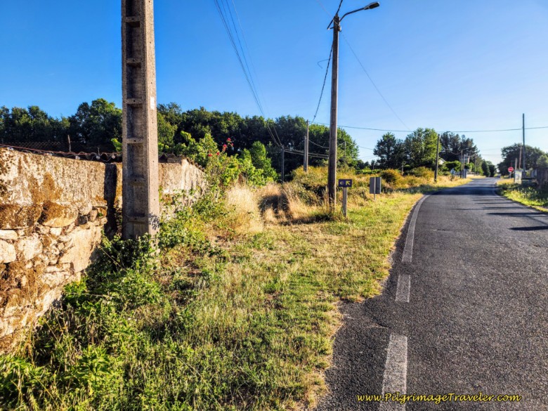 Beginning of Pathway System After Liñares