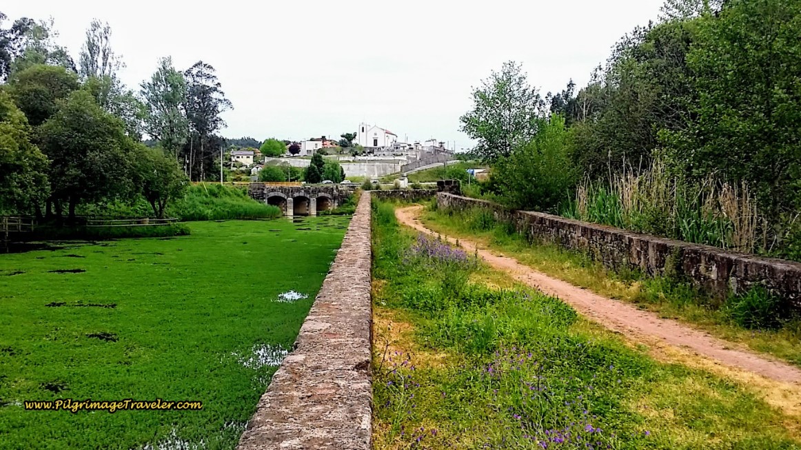 Walking on the Ponte do Cabeço do Vouga, Crossing the Vouga River