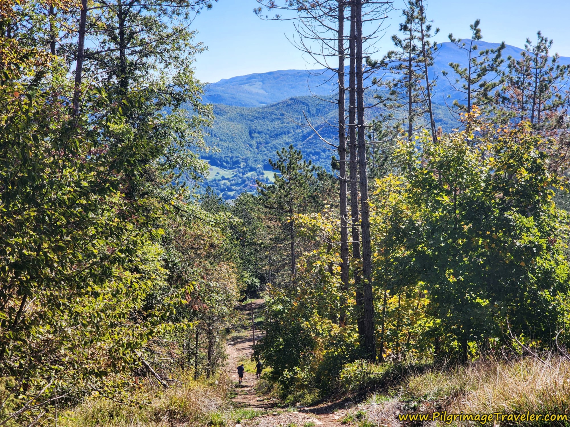 Precipitous Drop From Ridge