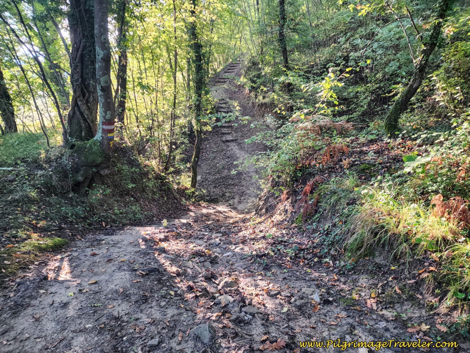 Second Precipitous Drop With Steps