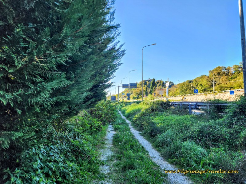 Way of St. Francis: Day Nineteen, Rieti to Poggio San Lorenzo - Walking Along the SS4bis Highway