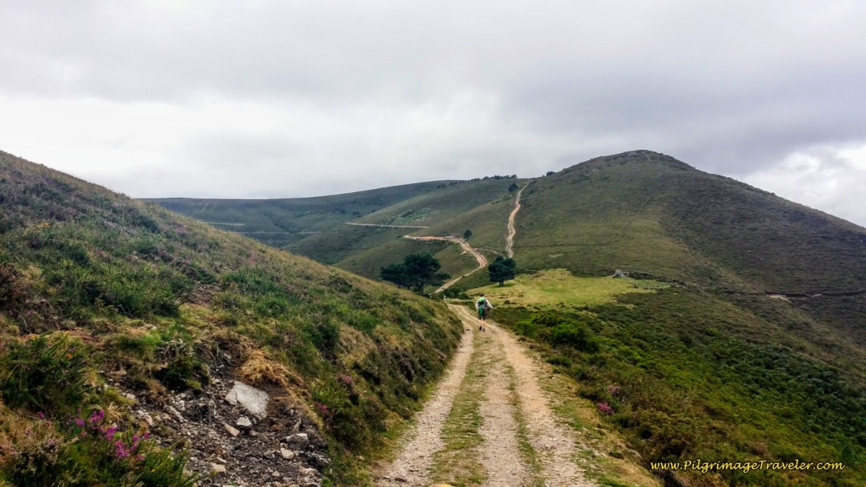 Closer Now to the Hospital