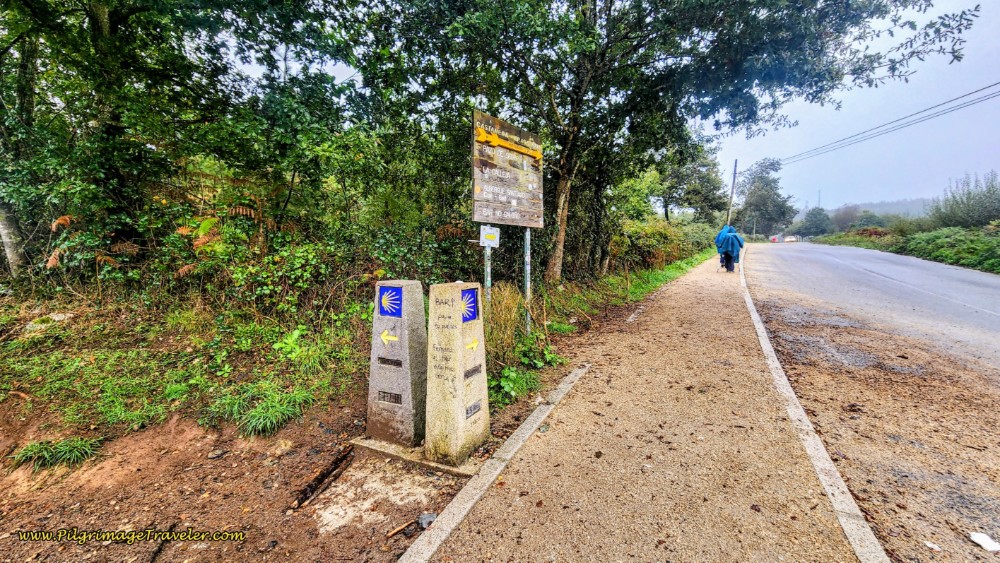 Second Decision Point of the Day