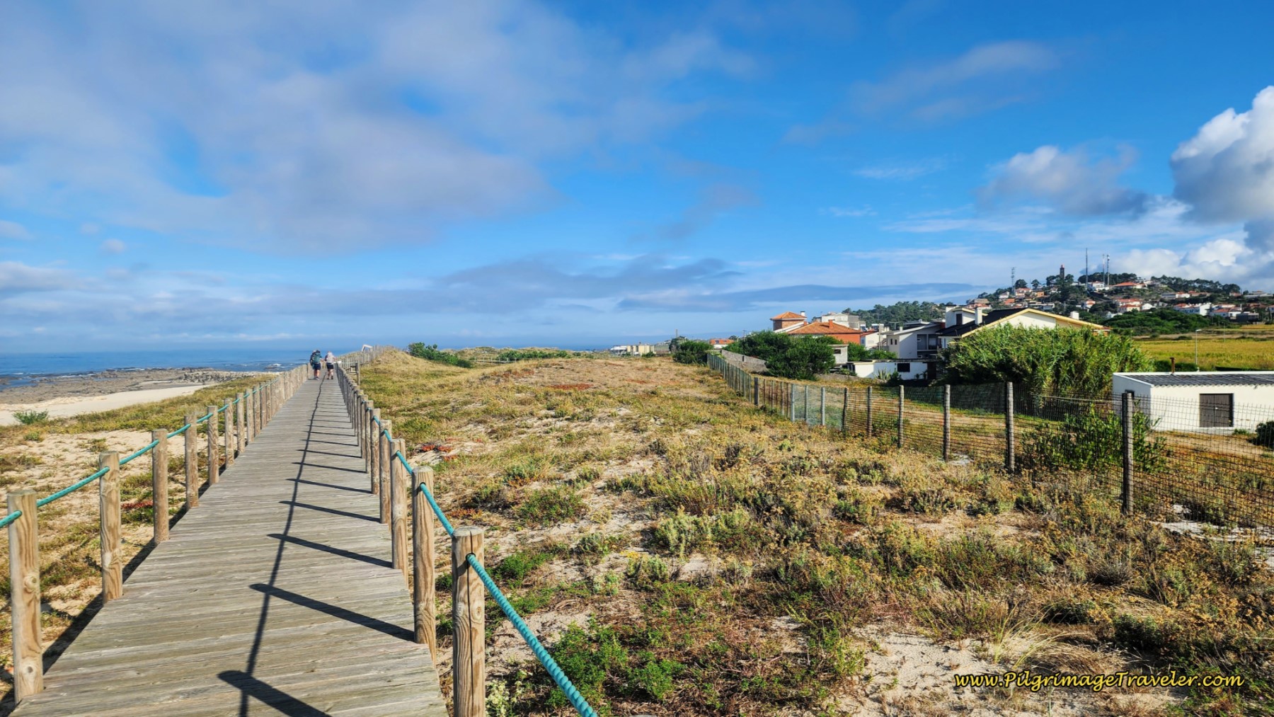 Boardwalk Around Carreço