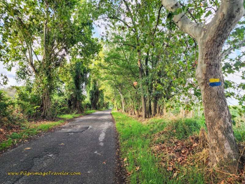 Way of St. Francis: Day Twenty-Two, Monterotondo to Monte Sacro - Along the Via di Tor San Giovanni