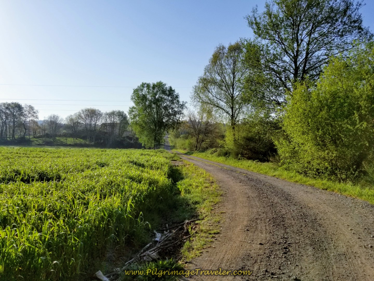 Pavement Gives Way to Dirt Road After Lameira on day eight of the Camino Inglés