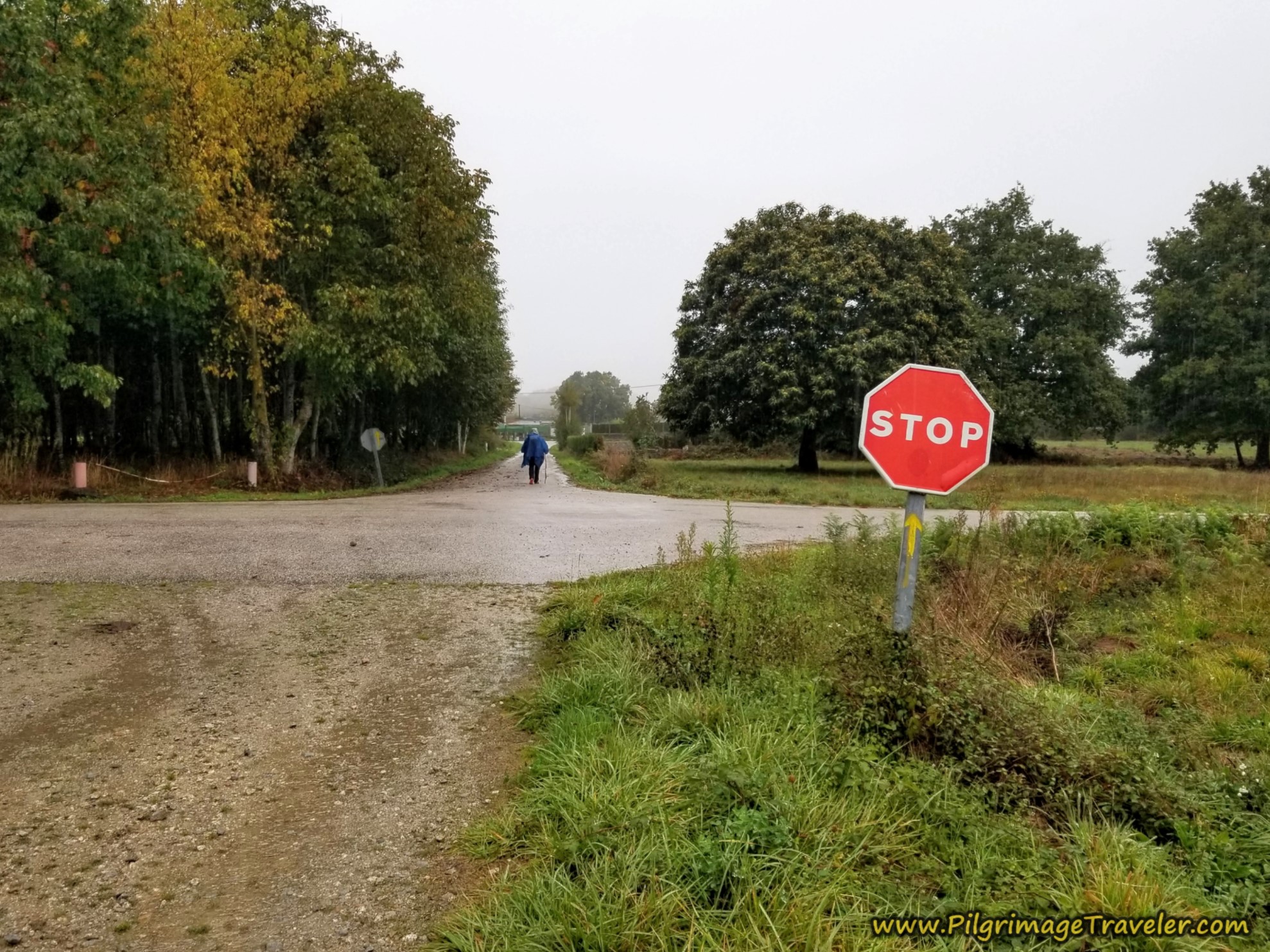 Cross Paved Road, Camino Sanabrés, Vilar de Barrio to Xunqueira de Ambía