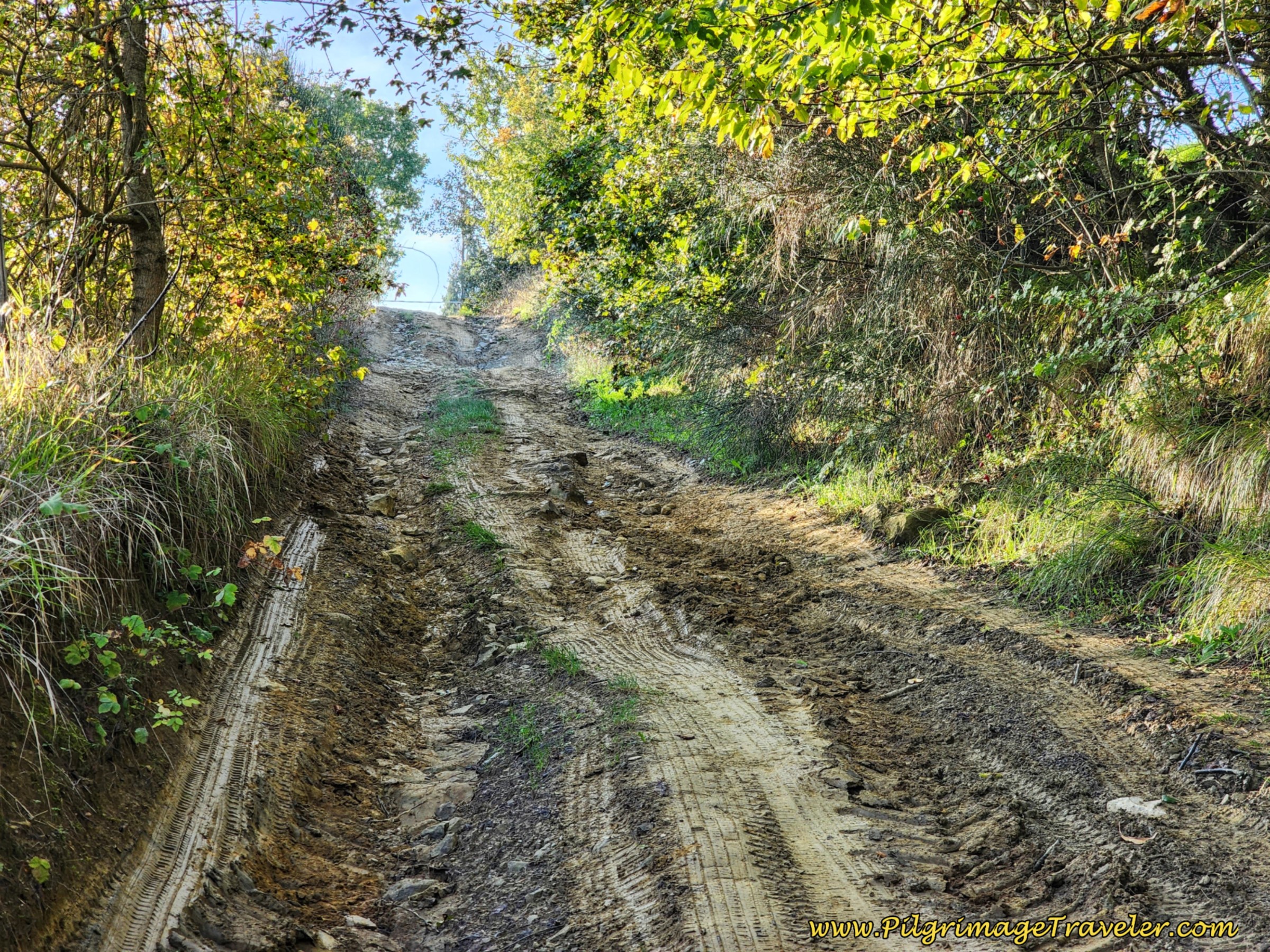 Final Steep Muddy Lane Section