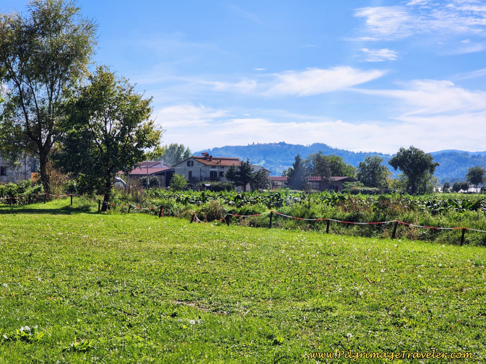 Glimpses of Citerna on the Ridge