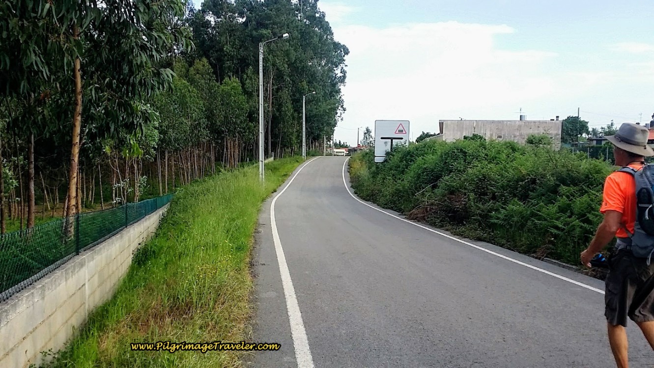 Camino Portugués Joins The Rua Tinturaria
