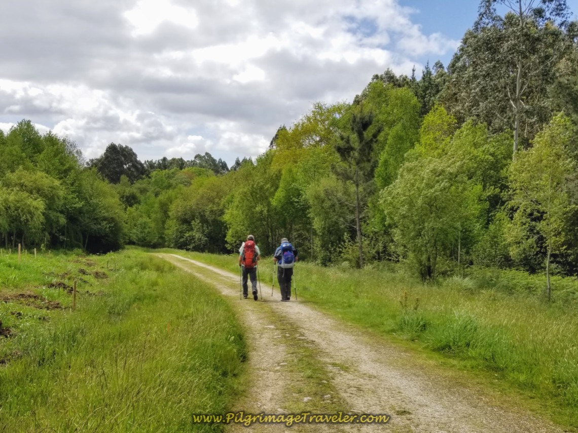 Toward the Club de Golf de Miño on Country Lane on day three of the Camino Inglés