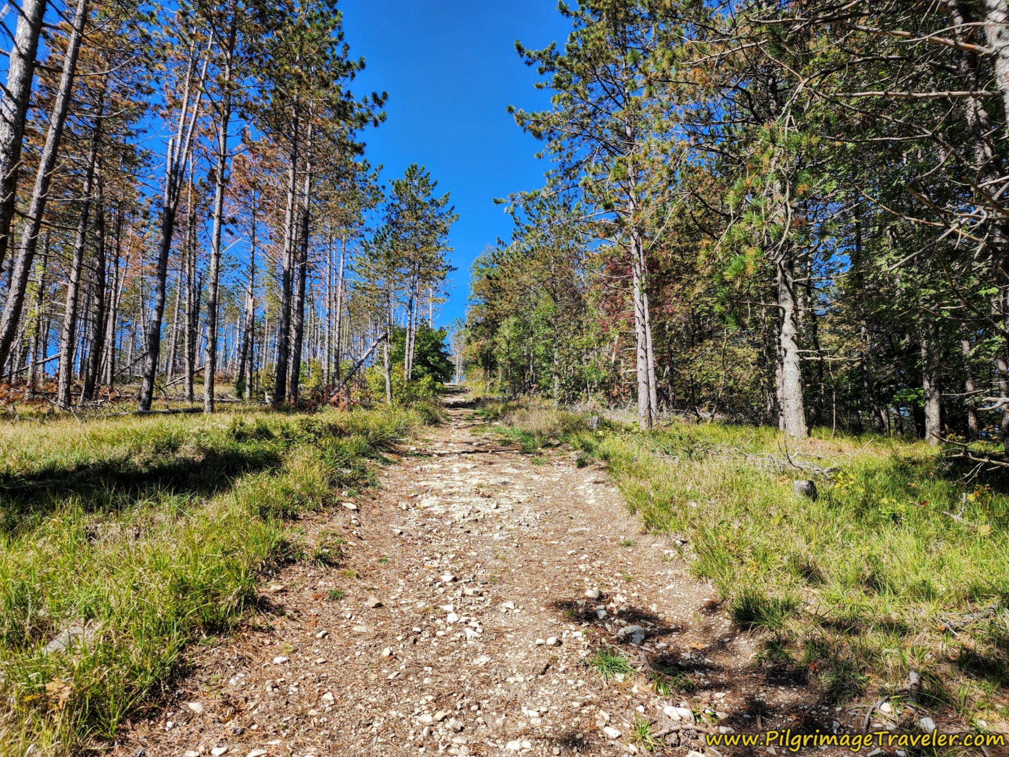 Look Back Up from the Bottom