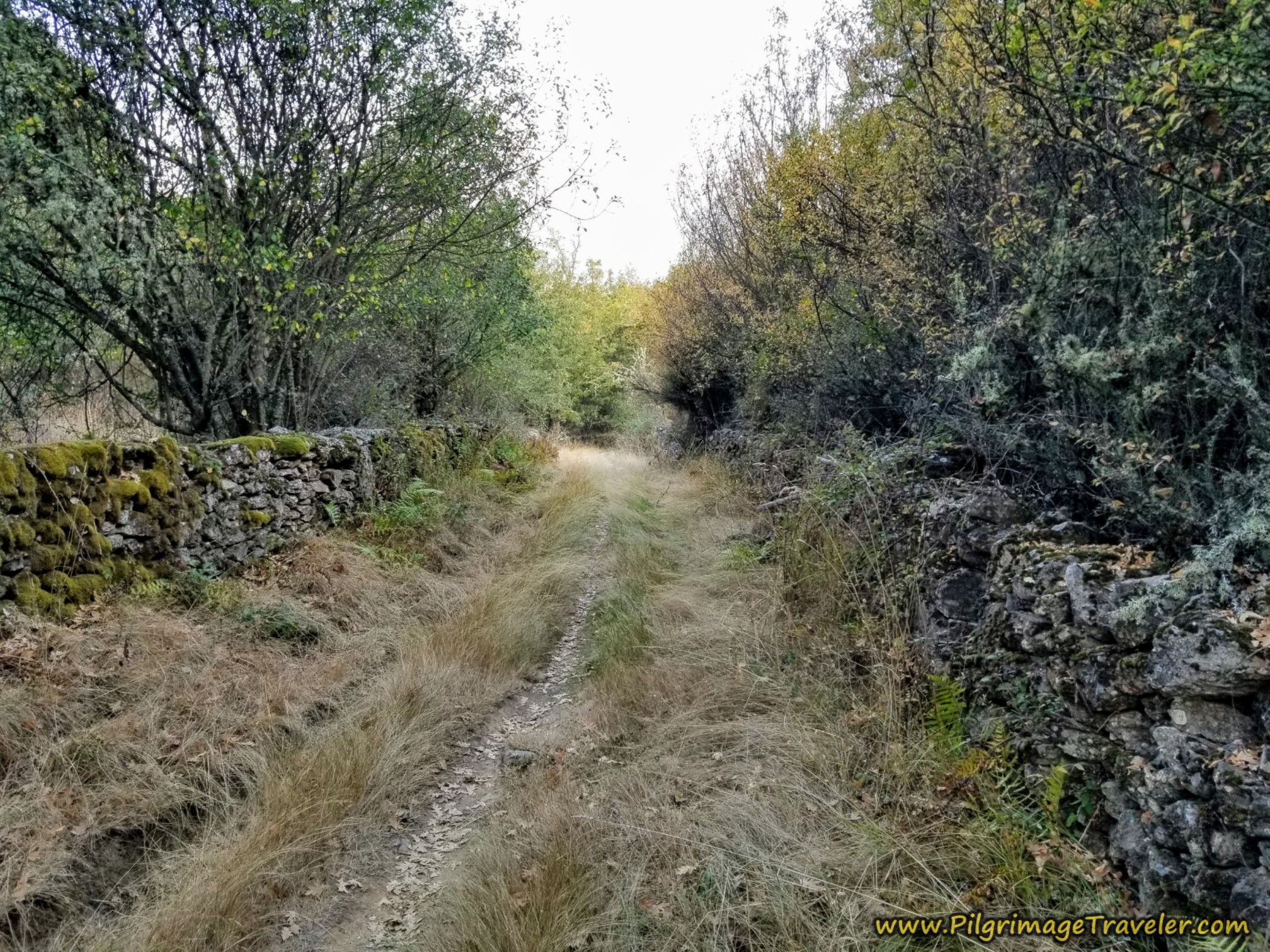 Starting to Look Like Galicia!