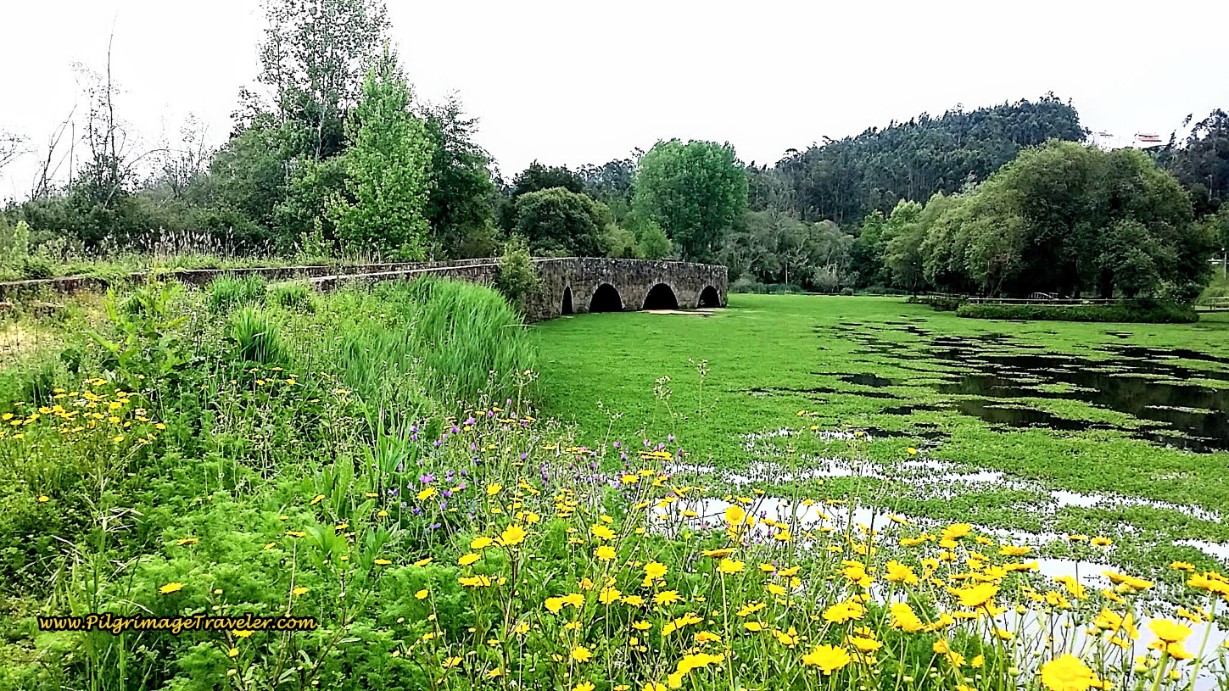 A Look Back at the Roman Bridge, the Ponte do Cabeço do Vouga