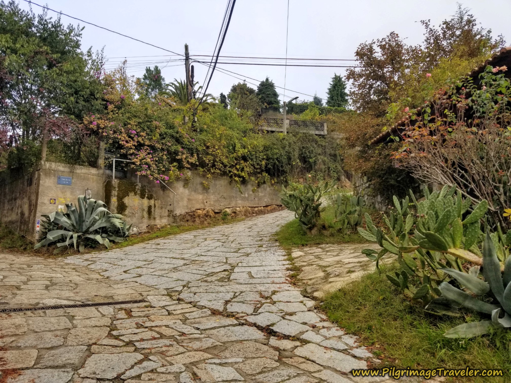 Right Road Bend, on the Camiño Real Cudeiro Sur, Camino Sanabrés, Ourense to Cea