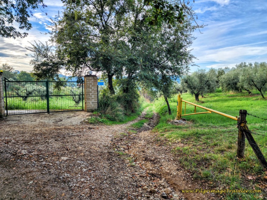 Way of St. Francis: Day Twenty-One, Ponticelli to Monterotondo - Right Turn Onto Tractor Lane at Gate