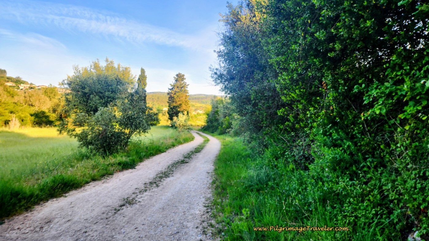 The Lane Toward Ribera de Alcalamouque