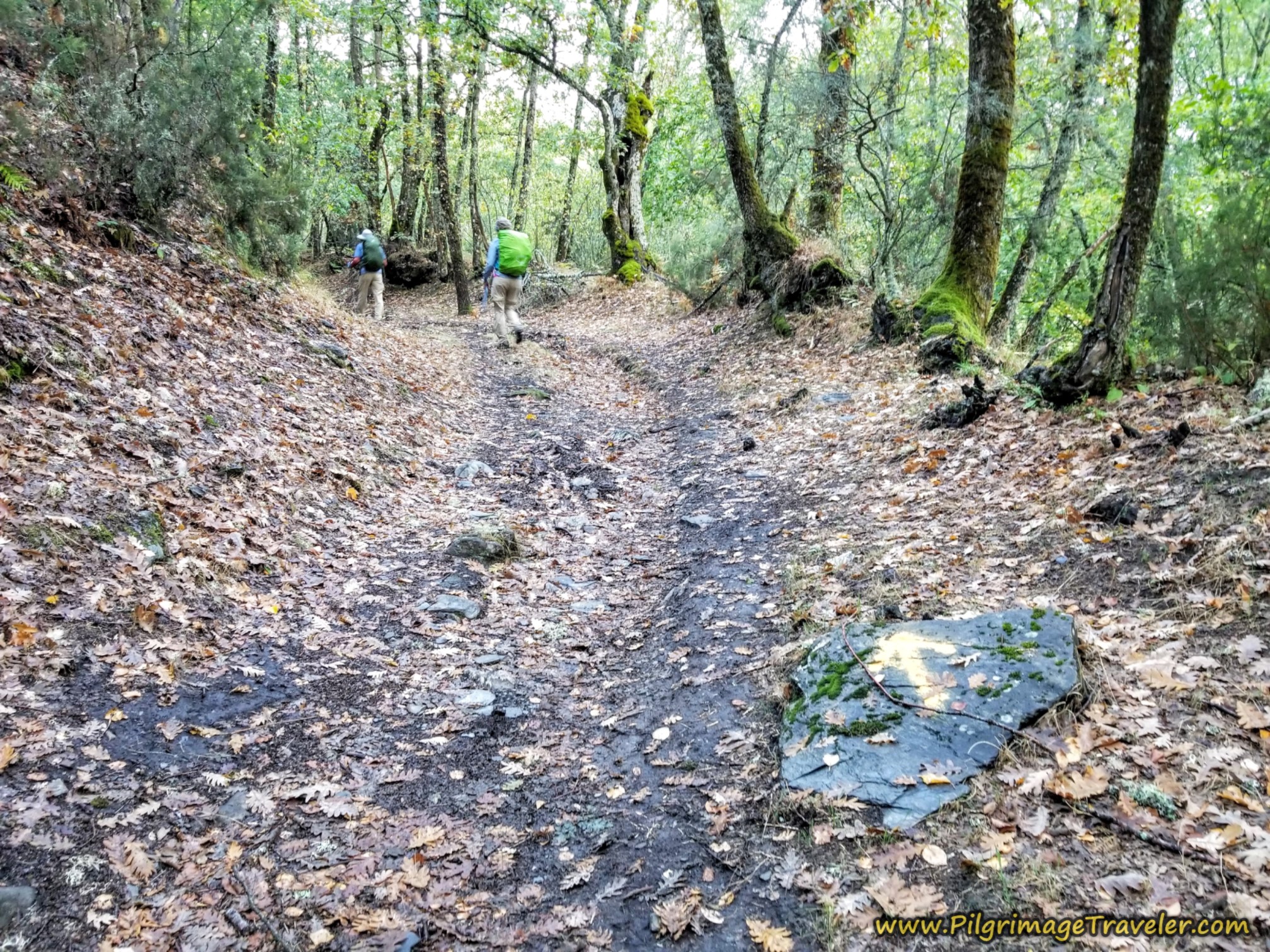 Yellow Arrows on Rocks