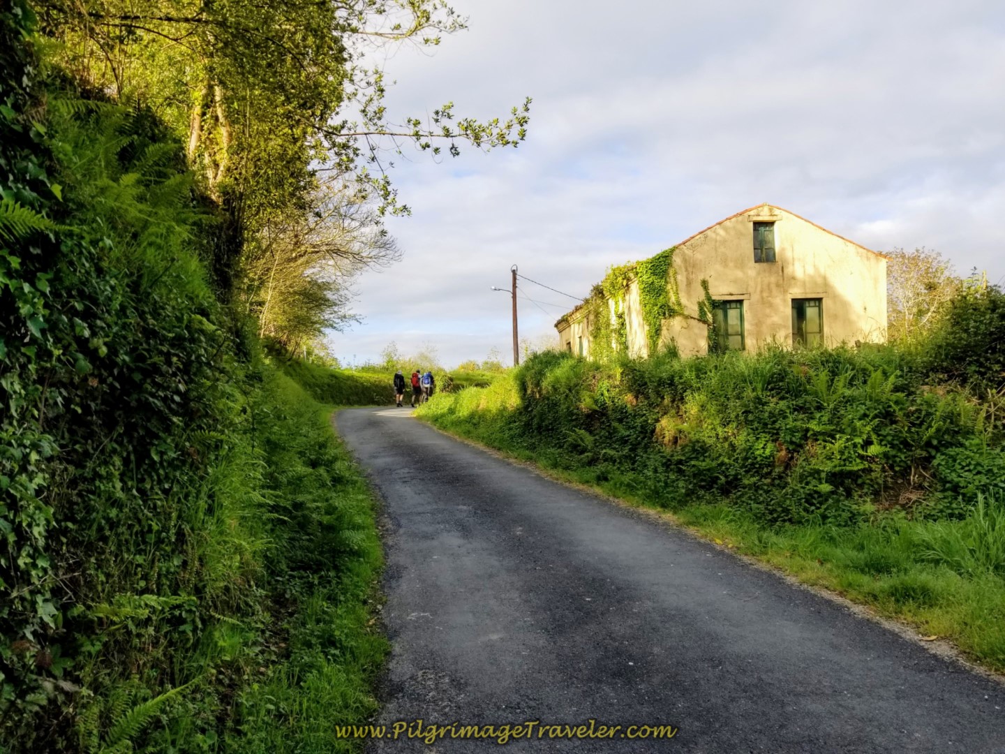 Top of First Steep Climb Aldea Trasmil on day four of the Camino Inglés