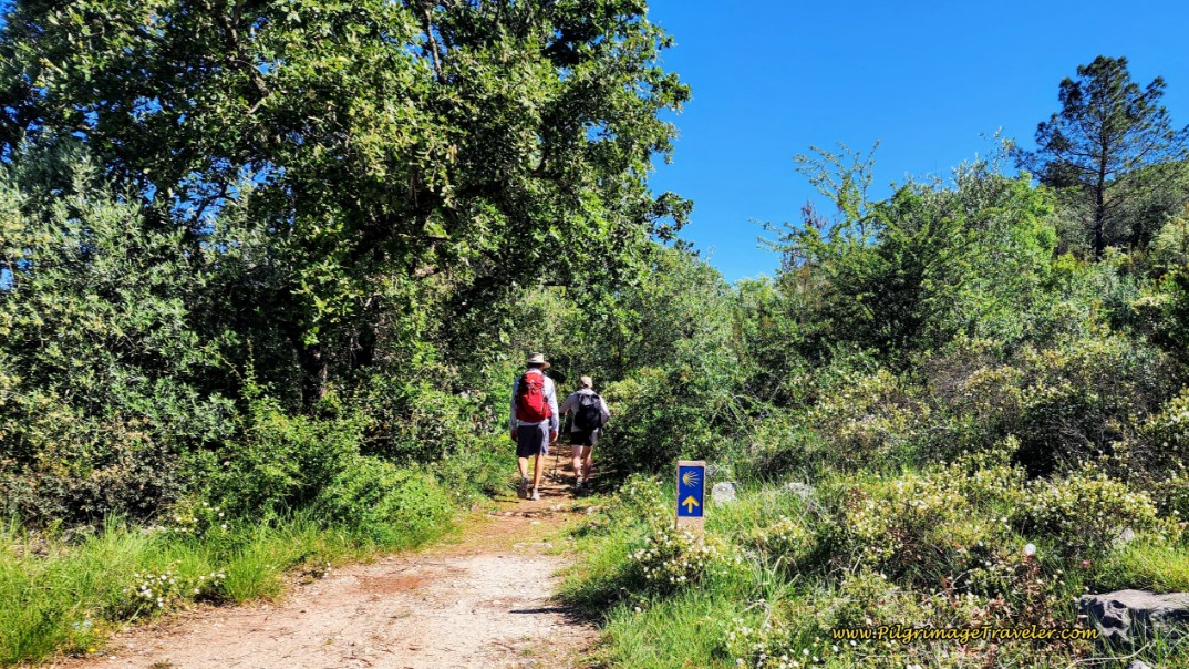 Turn Right on the Tractor Lane, Near Casais Maduros